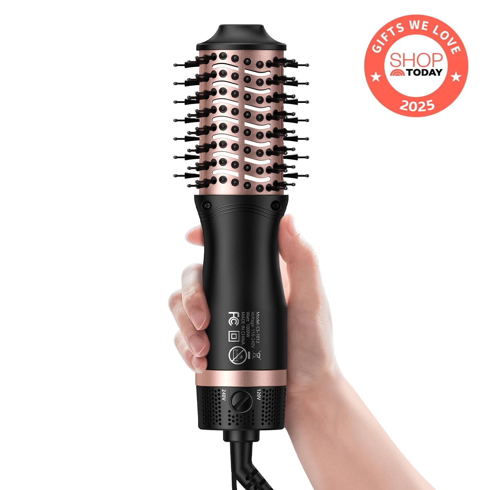 Slopehill Dual Voltage Mini Ionic Hot Air Brush Styler, European Plug, 2 Heat/Speed Settings for Home/Salon
